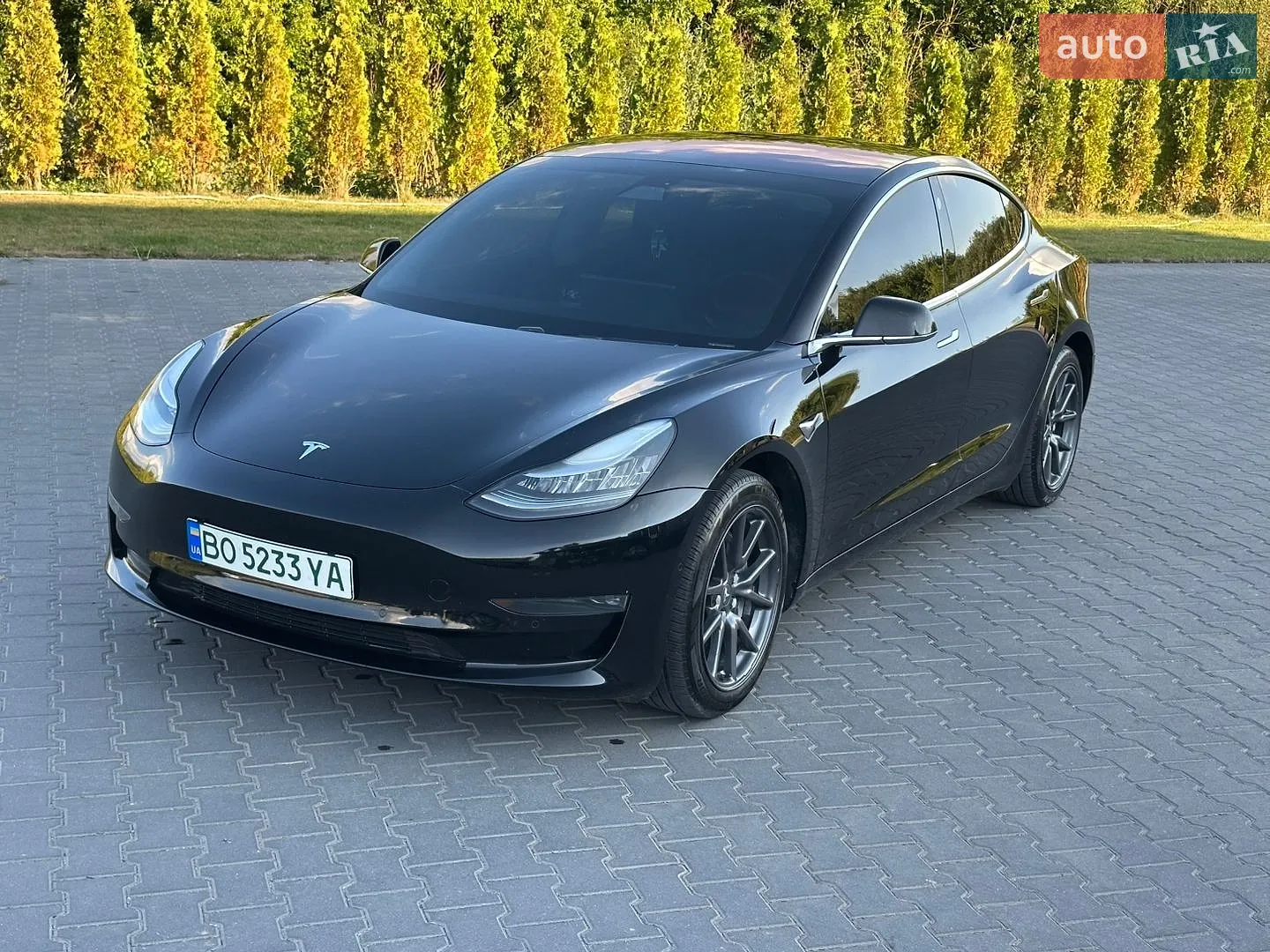 2019 Tesla Model 3 - мініатюра 4