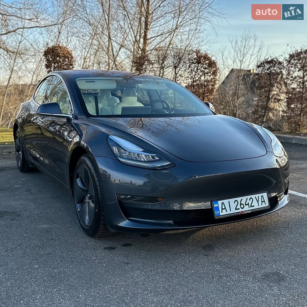 2018 Tesla Model 3 - мініатюра 3