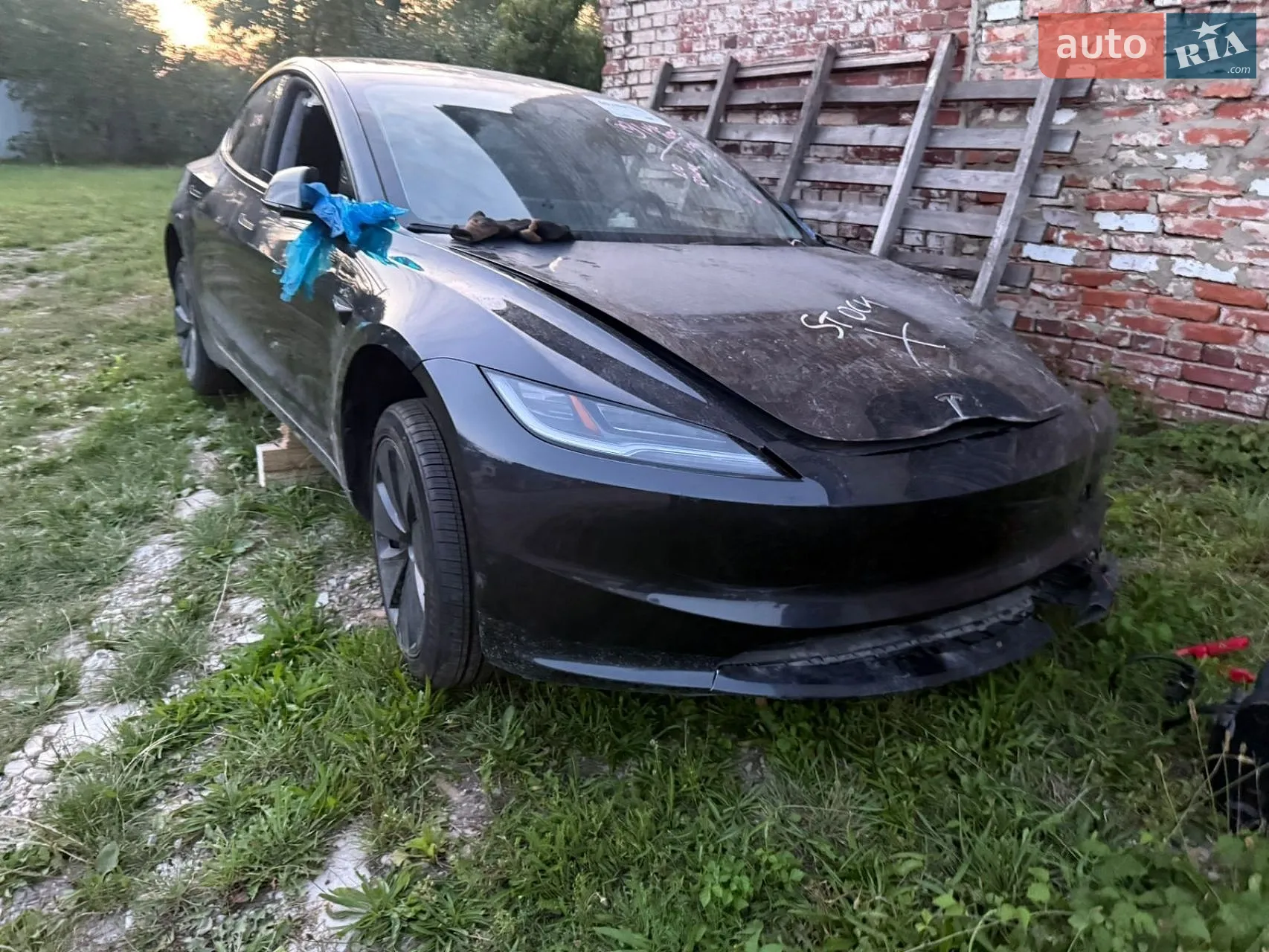 2024 Tesla Model 3 - фото 1