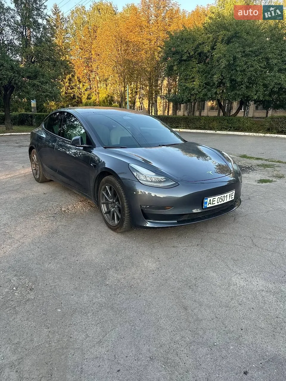 2020 Tesla Model 3 - фото 1