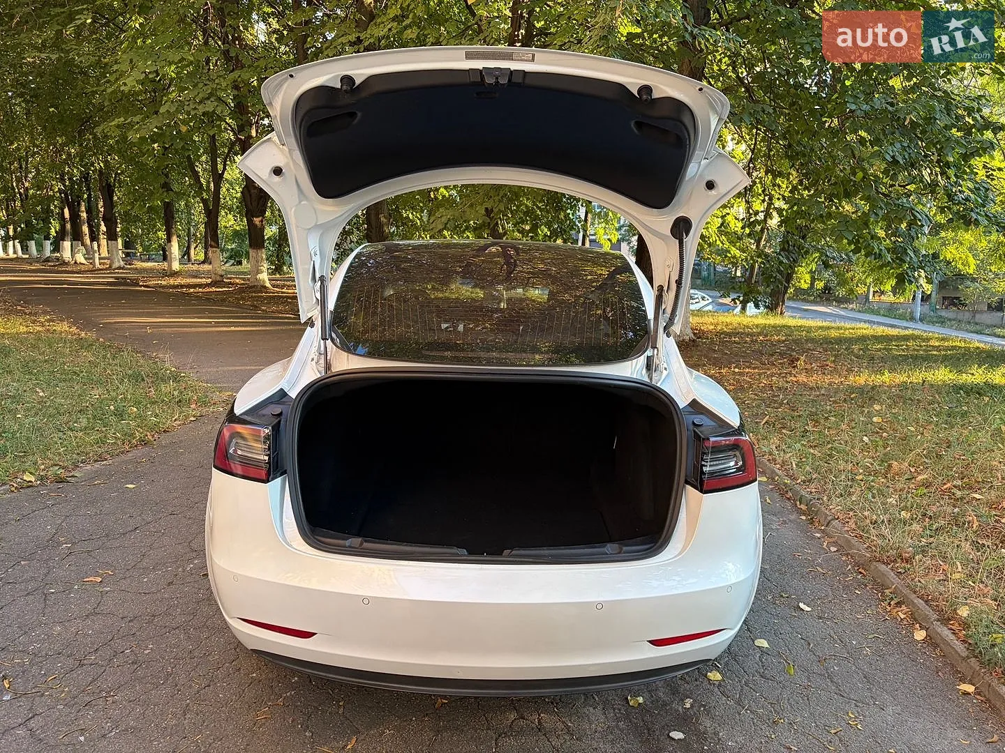 2018 Tesla Model 3 - мініатюра 5