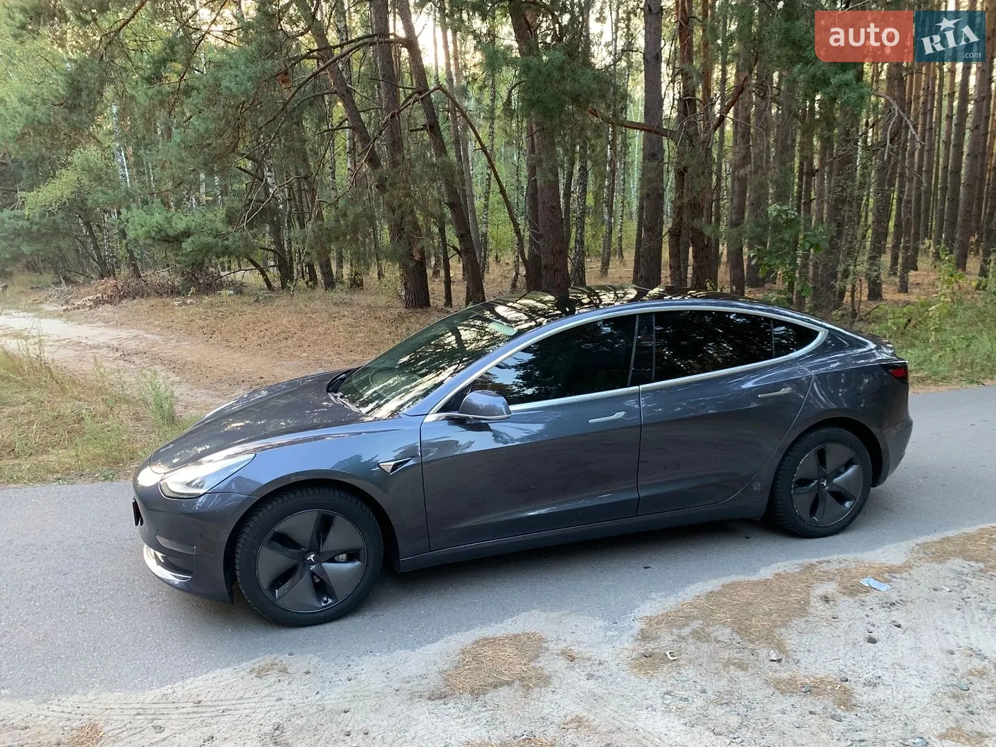 2019 Tesla Model 3 - мініатюра 3