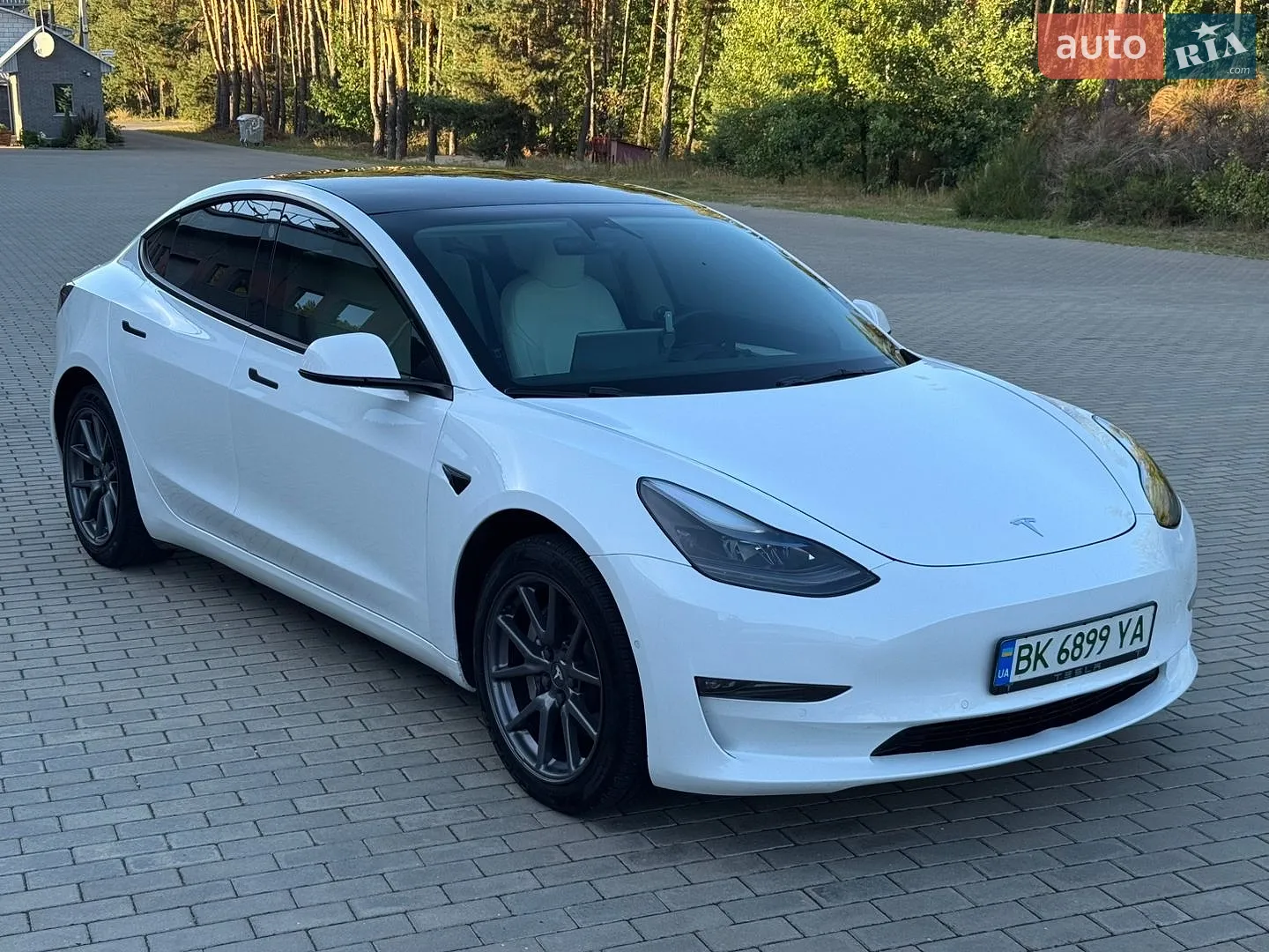 2021 Tesla Model 3 - мініатюра 2