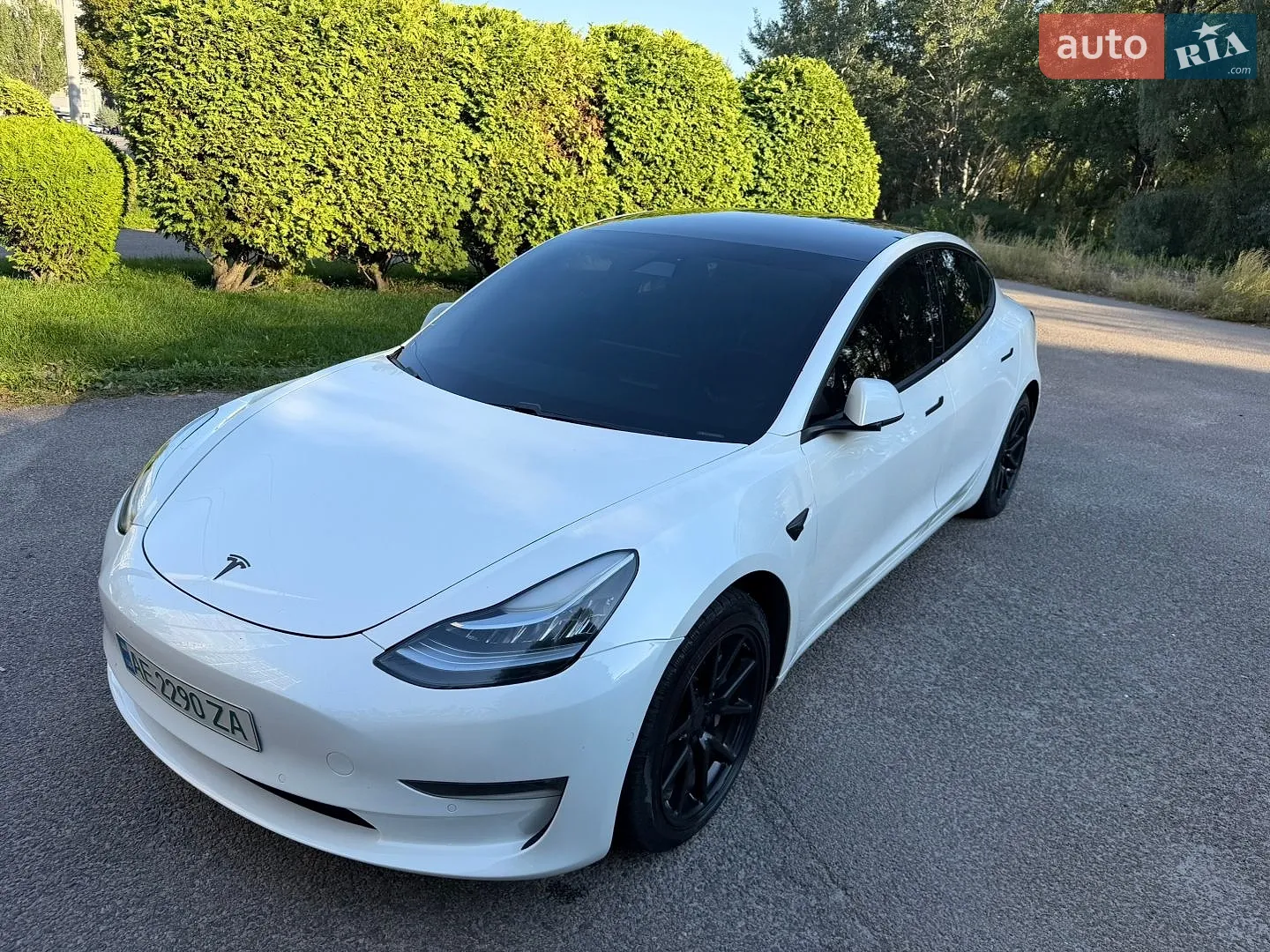2019 Tesla Model 3 - мініатюра 3