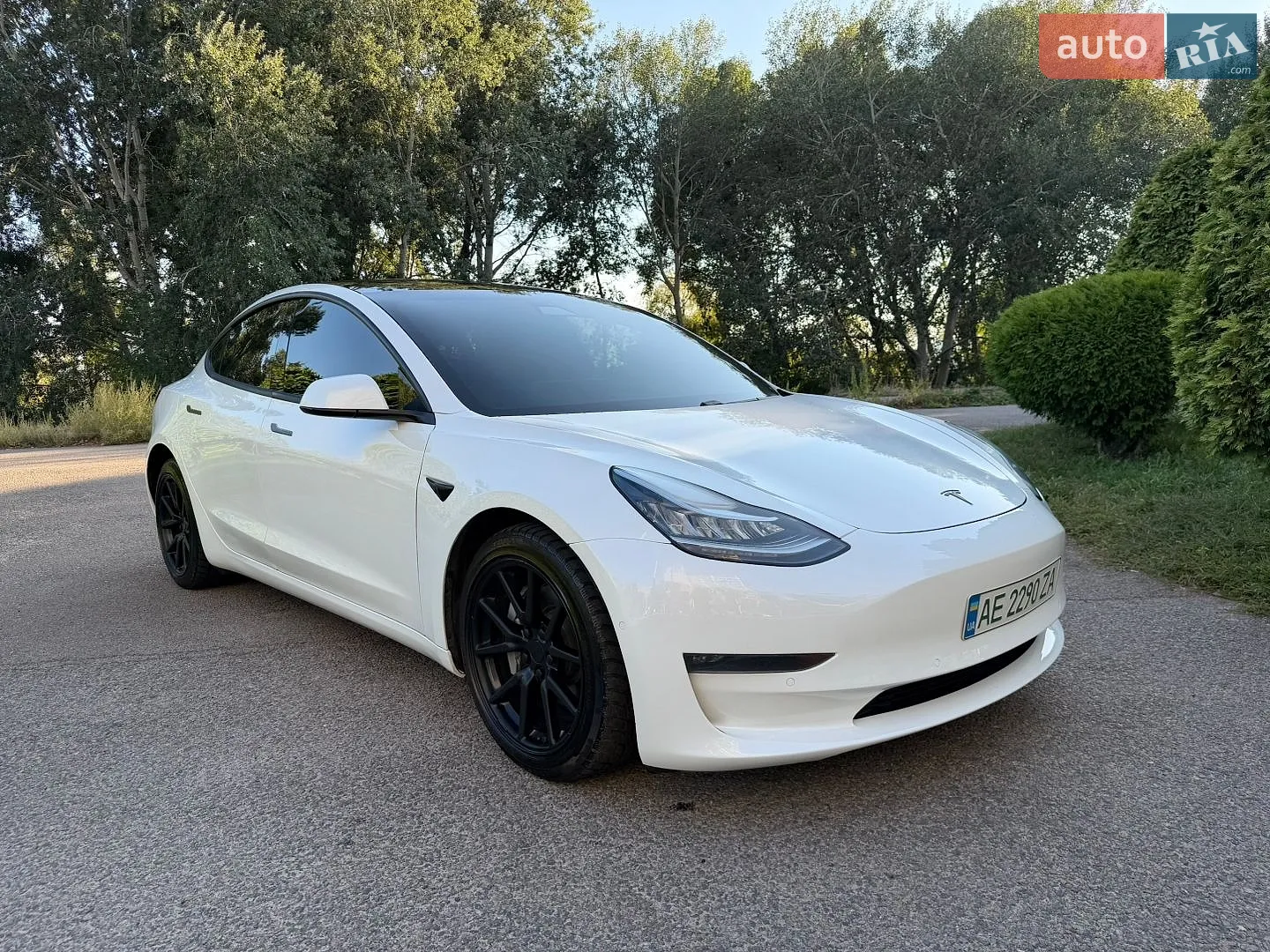 2019 Tesla Model 3 - мініатюра 5