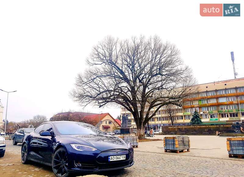 Лифтбек Tesla Model S 2014 в Берегово фото 14 Лифтбек Tesla Model S 2014 в Берегово