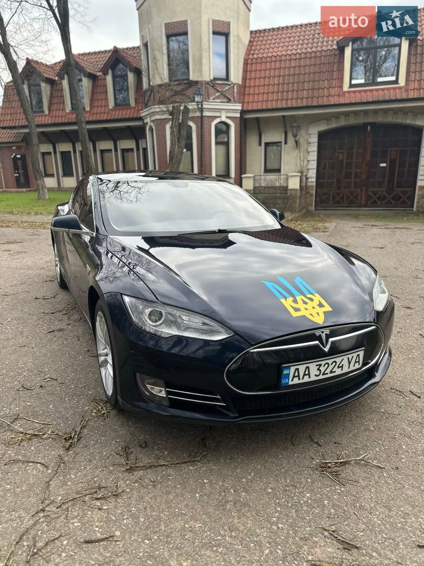2013 Tesla Model S - фото 1