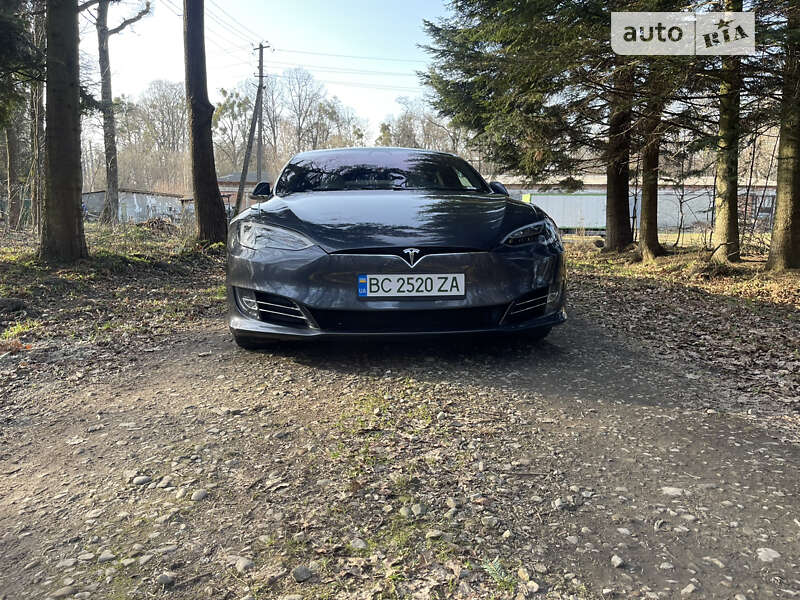 Ліфтбек Tesla Model S 2019 в Стрию