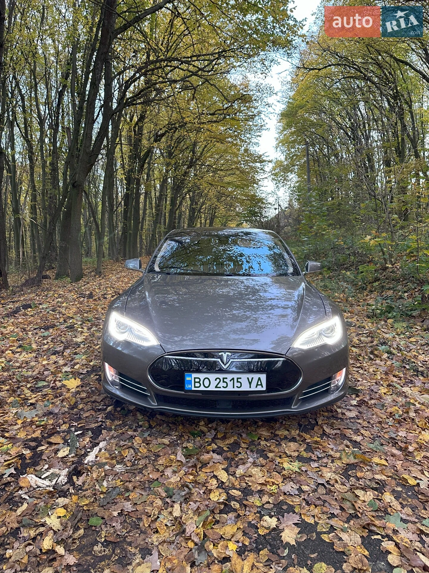 2015 Tesla Model S - мініатюра 2