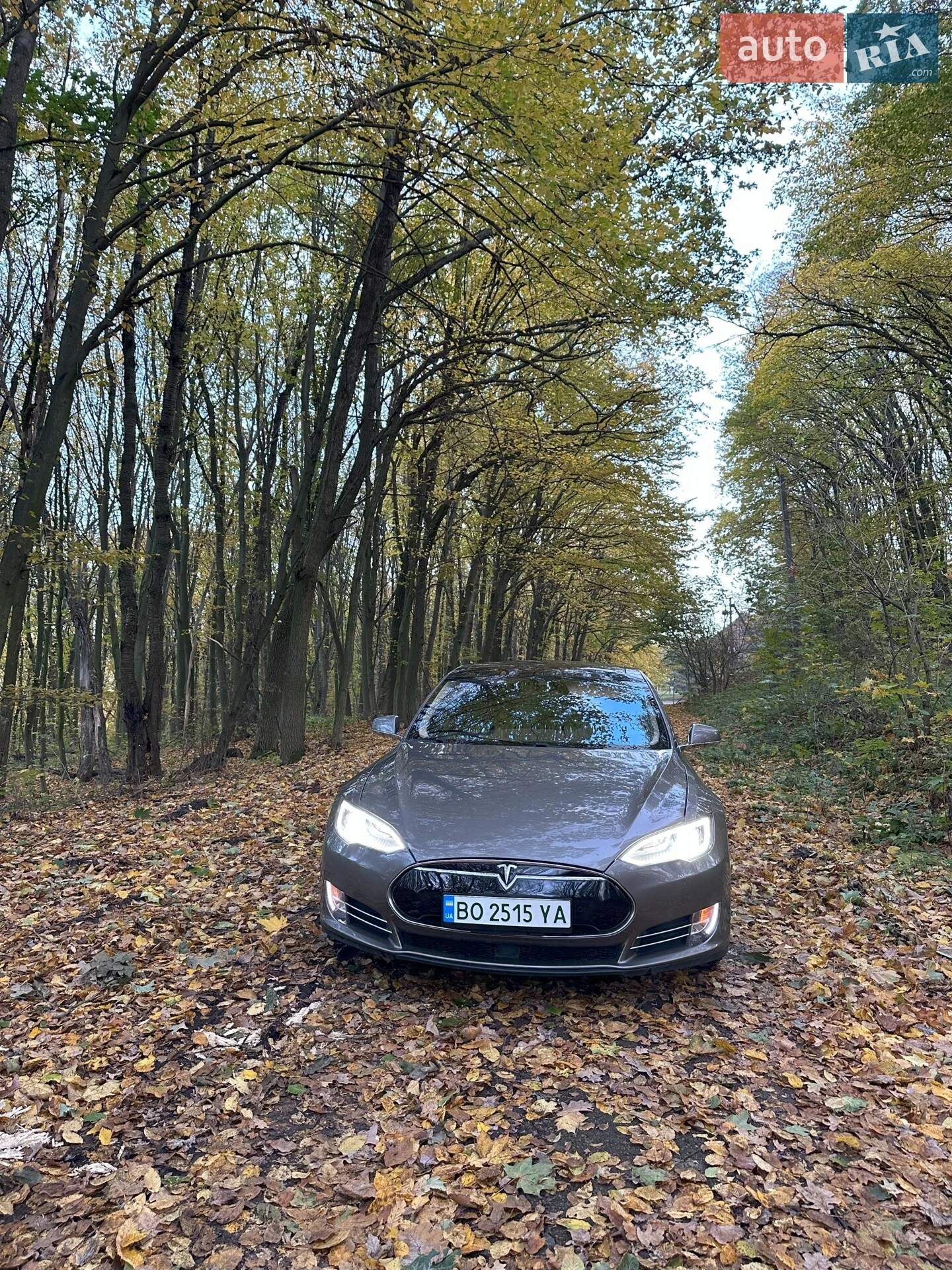 2015 Tesla Model S - мініатюра 4