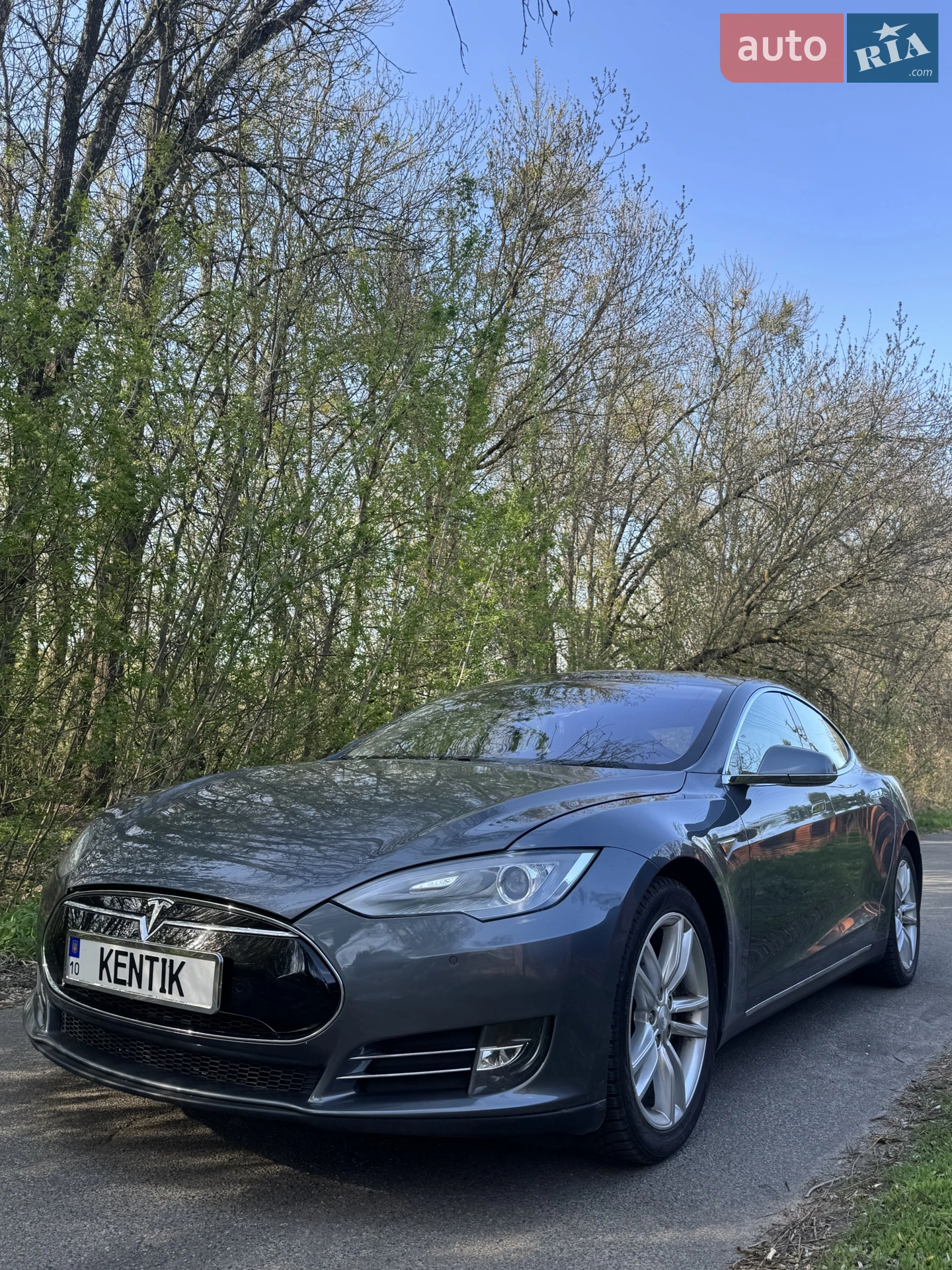 2014 Tesla Model S - мініатюра 2