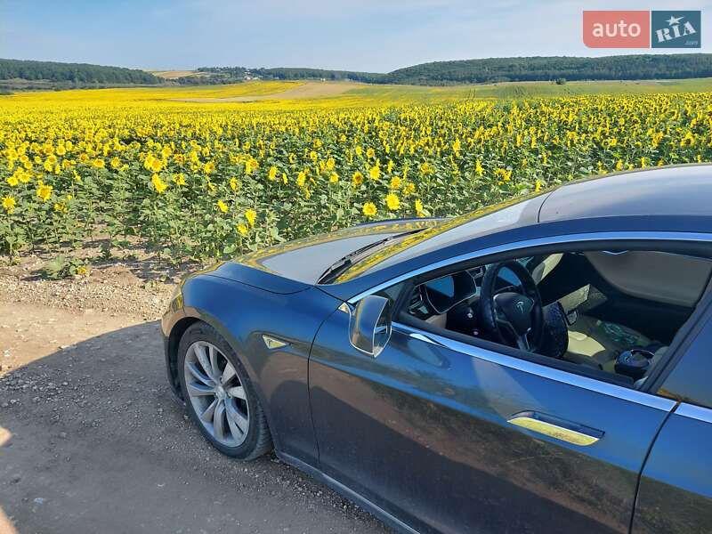 Лифтбек Tesla Model S 2014 в Тернополе