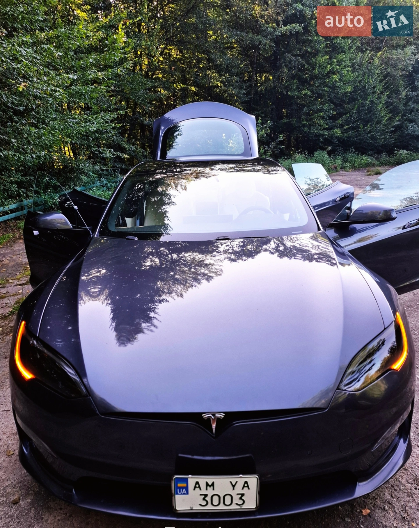 2023 Tesla Model S - мініатюра 5
