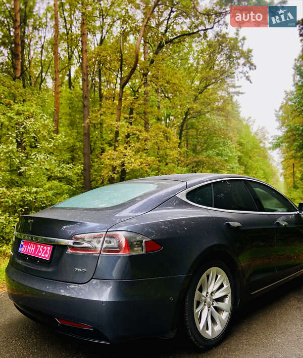 Лифтбек Tesla Model S 2016 в Луцке фото 27 Лифтбек Tesla Model S 2016 в Луцке