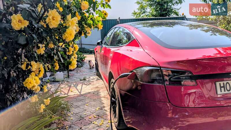 Лифтбек Tesla Model S 2019 в Киеве фото 3 Лифтбек Tesla Model S 2019 в Киеве