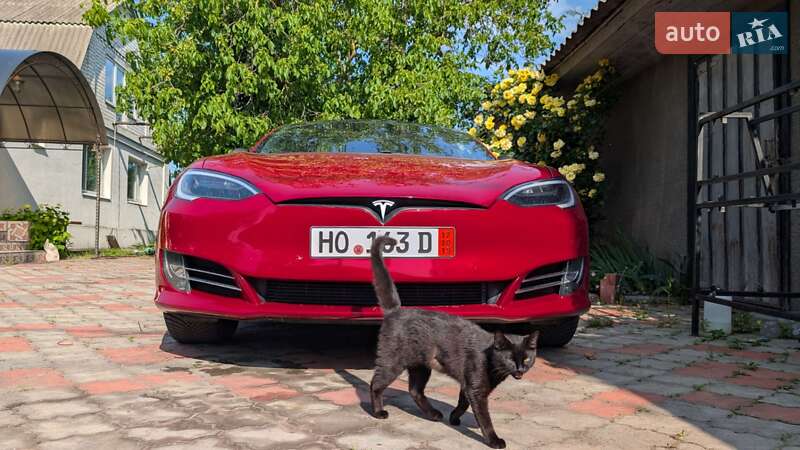 Лифтбек Tesla Model S 2019 в Киеве фото 22 Лифтбек Tesla Model S 2019 в Киеве