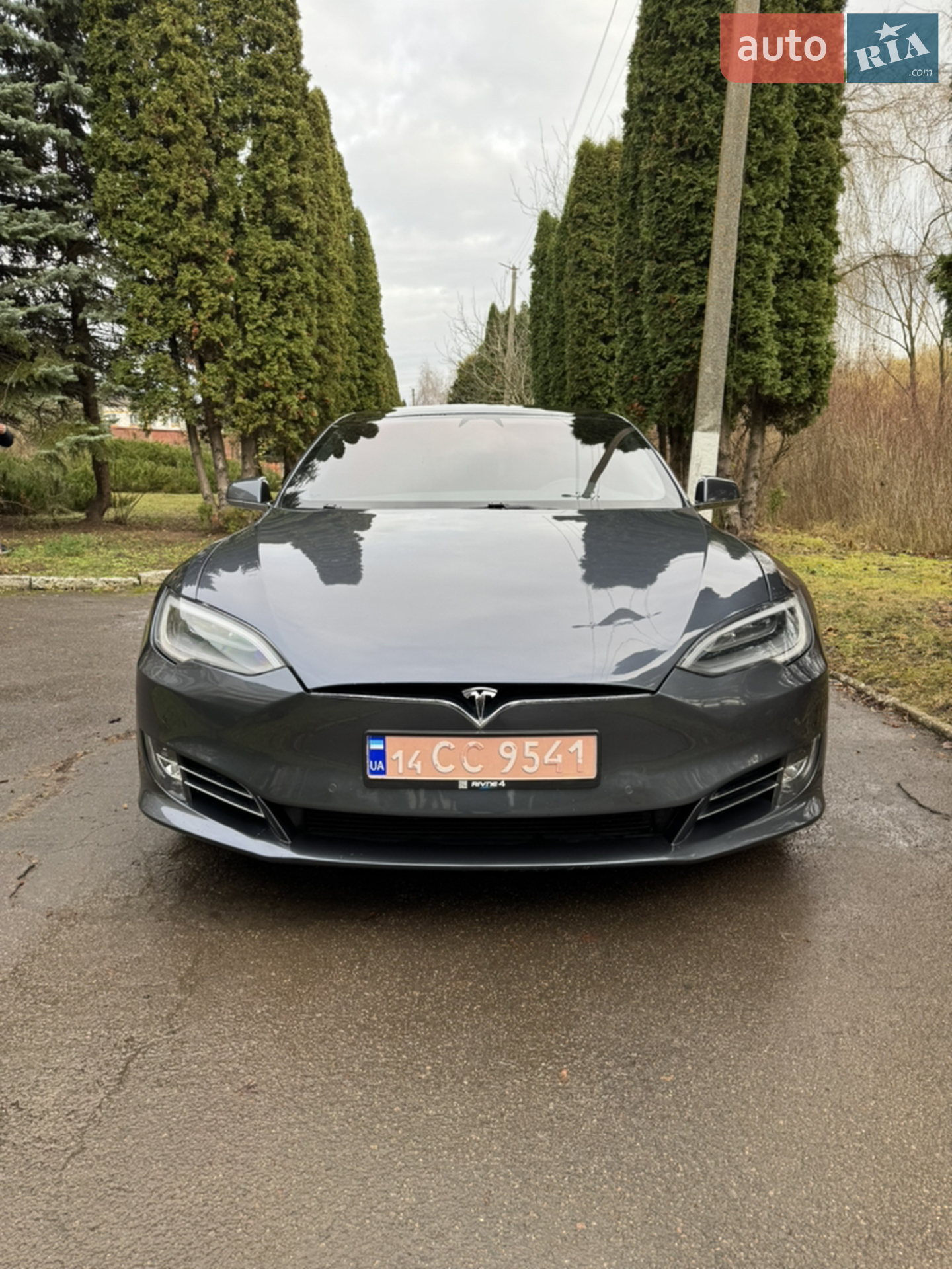 2019 Tesla Model S - мініатюра 2
