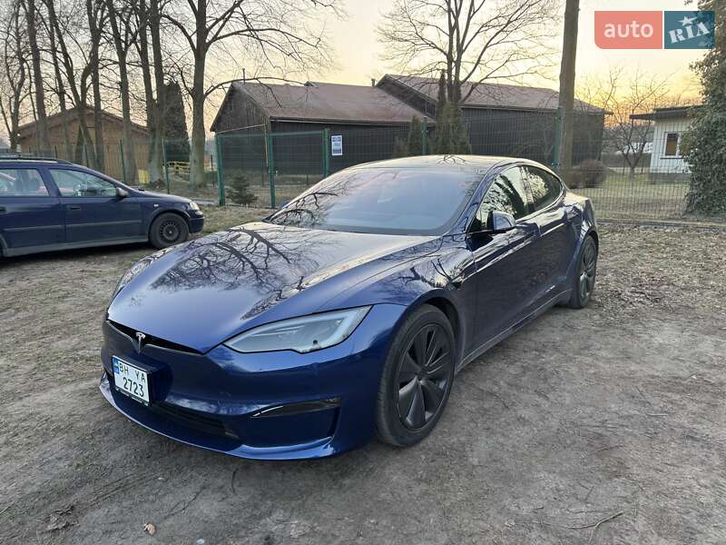 2023 Tesla Model S, VIN 5YJSA1E59PF519463:plate — фото 1 (autoria)