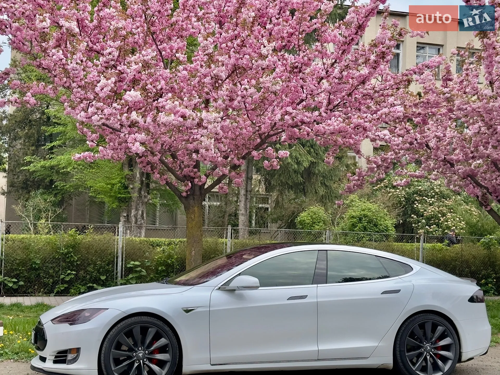 2015 Tesla Model S - мініатюра 6