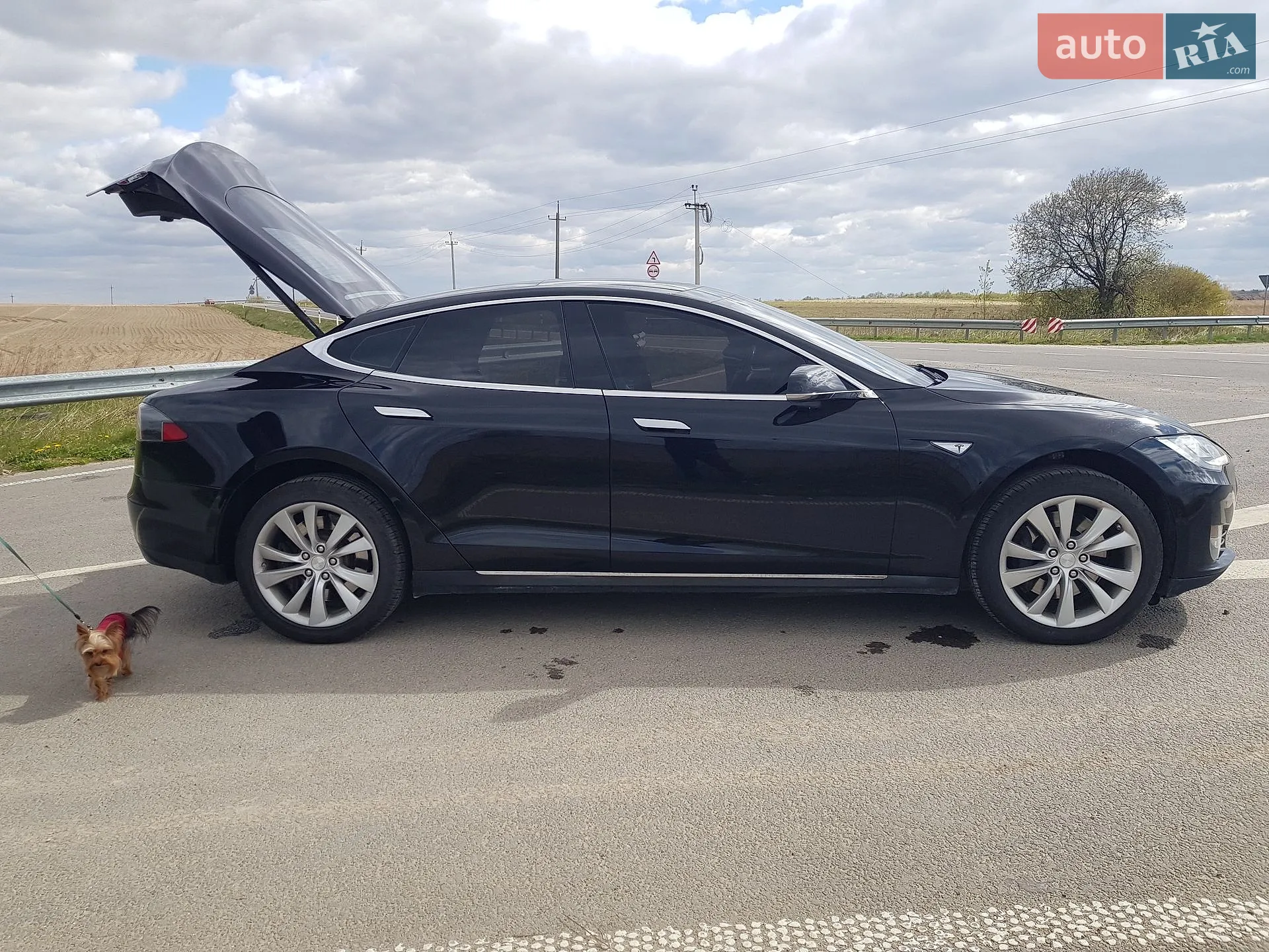 2015 Tesla Model S - мініатюра 6