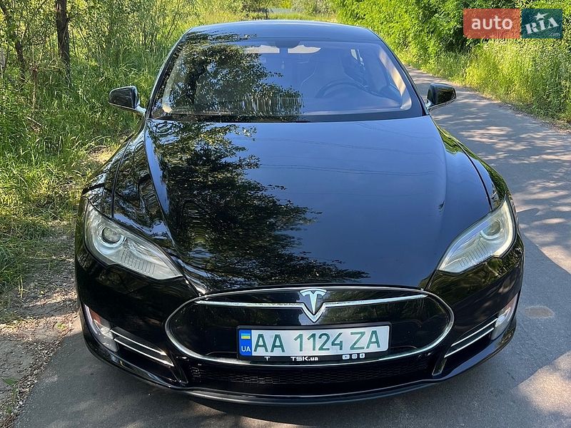 2013 Tesla Model-S, VIN 5YJSA1CG7DFP18303:plate — фото 1 (autoria)