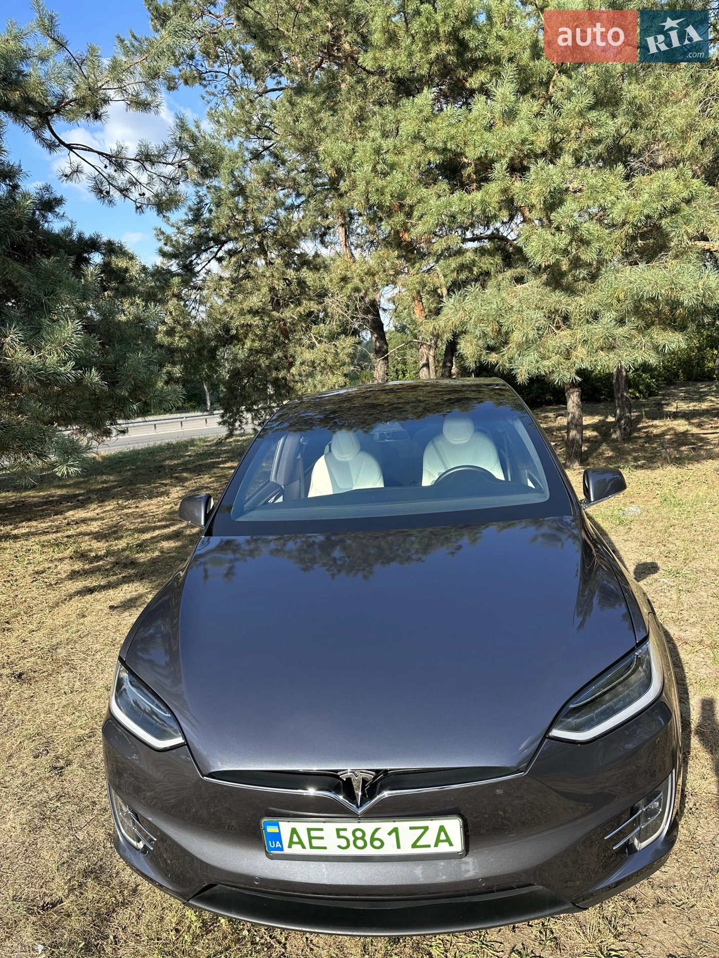 2020 Tesla Model X - мініатюра 6