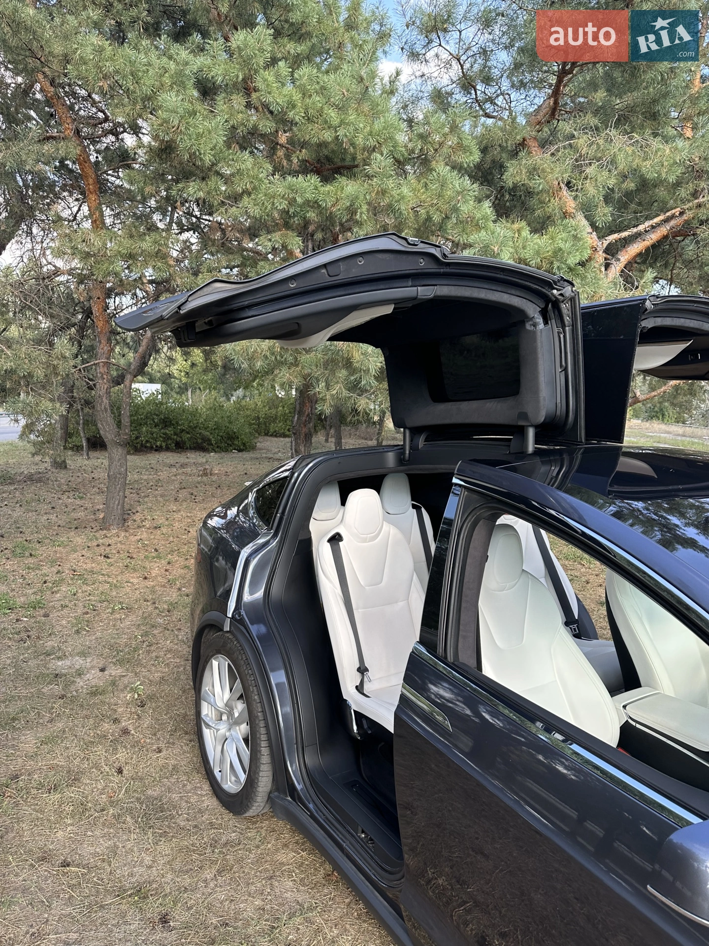 2020 Tesla Model X - мініатюра 9