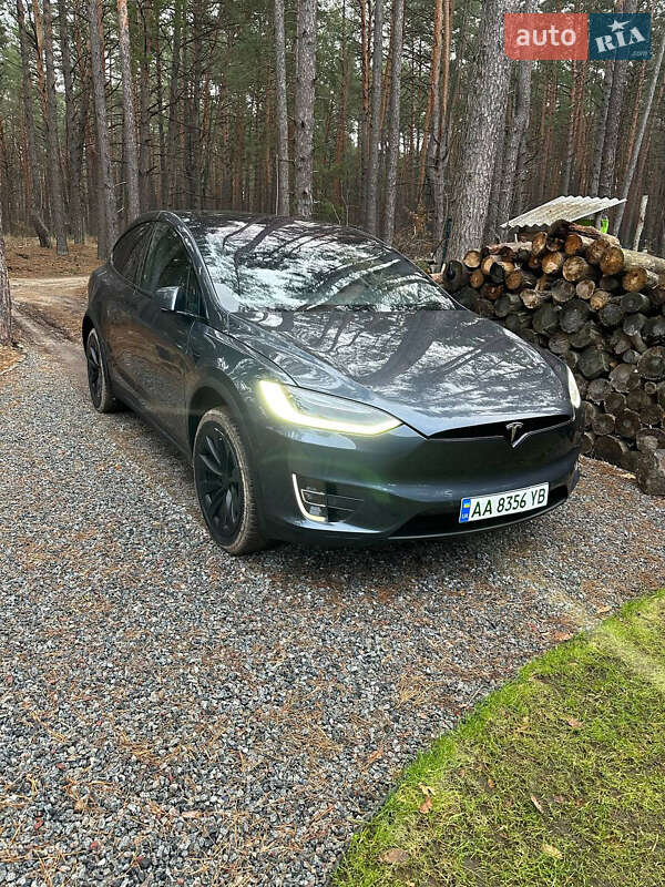 Внедорожник / Кроссовер Tesla Model X 2019 в Киеве фото 2 Внедорожник / Кроссовер Tesla Model X 2019 в Киеве