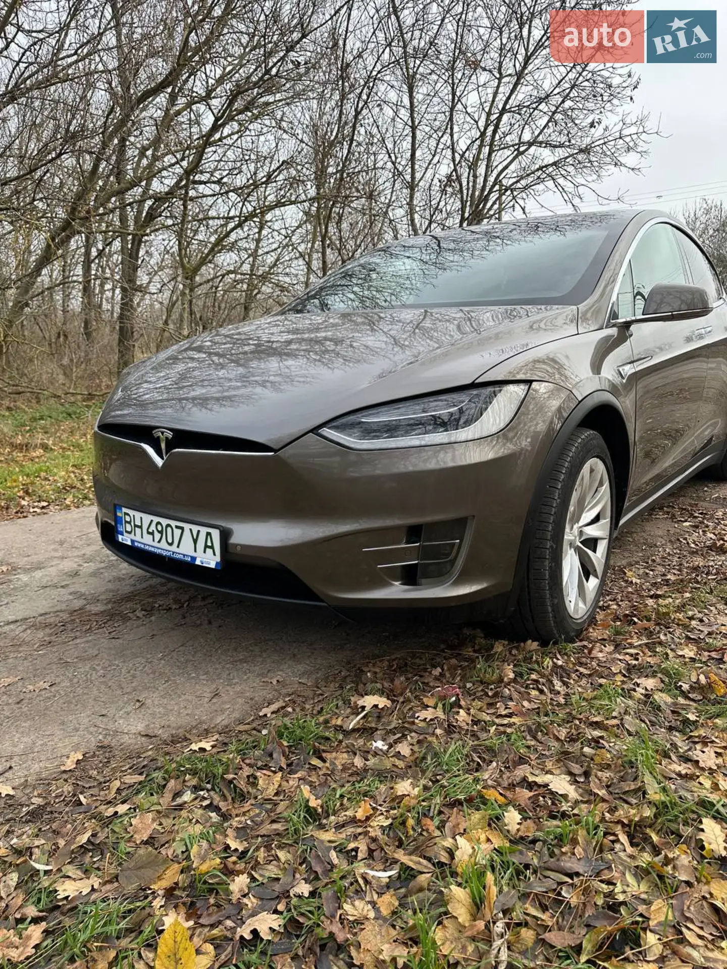 2016 Tesla Model X - мініатюра 2
