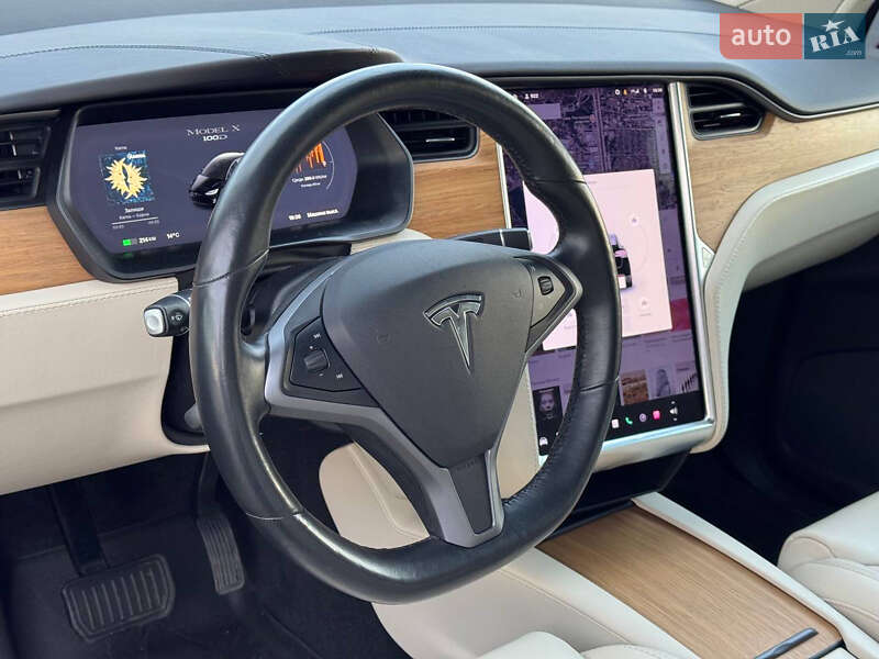 Позашляховик / Кросовер Tesla Model X 2019 в Києві