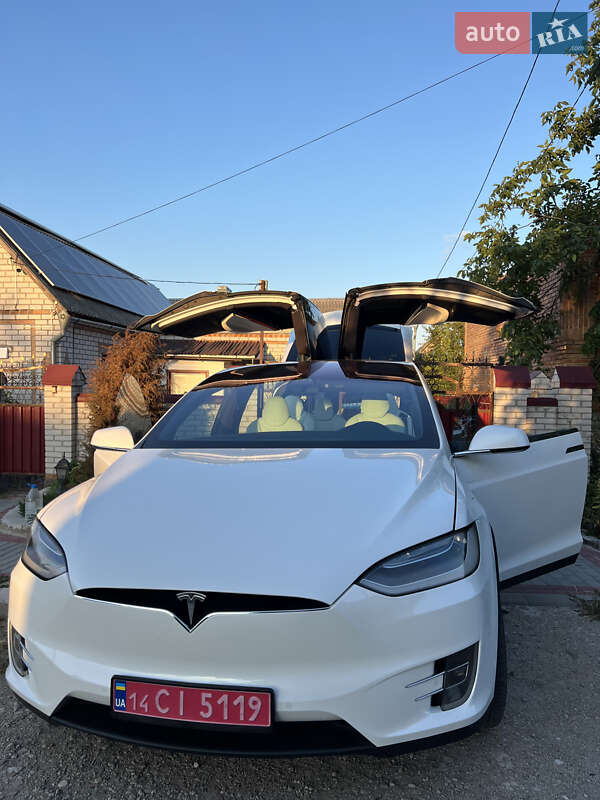 Позашляховик / Кросовер Tesla Model X 2019 в Кропивницькому