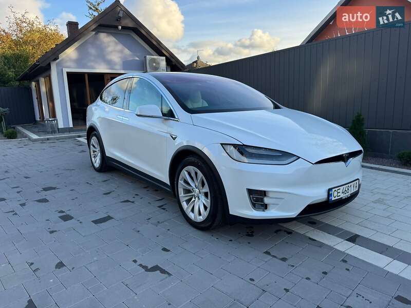 Внедорожник / Кроссовер Tesla Model X 2019 в Черновцах