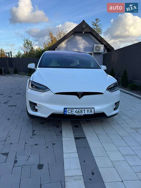 Внедорожник / Кроссовер Tesla Model X 2019 в Черновцах