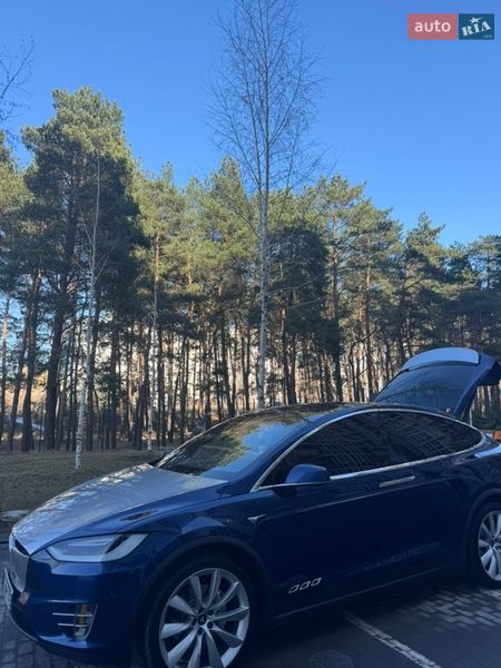 Внедорожник / Кроссовер Tesla Model X 2018 в Горишних Плавнях
