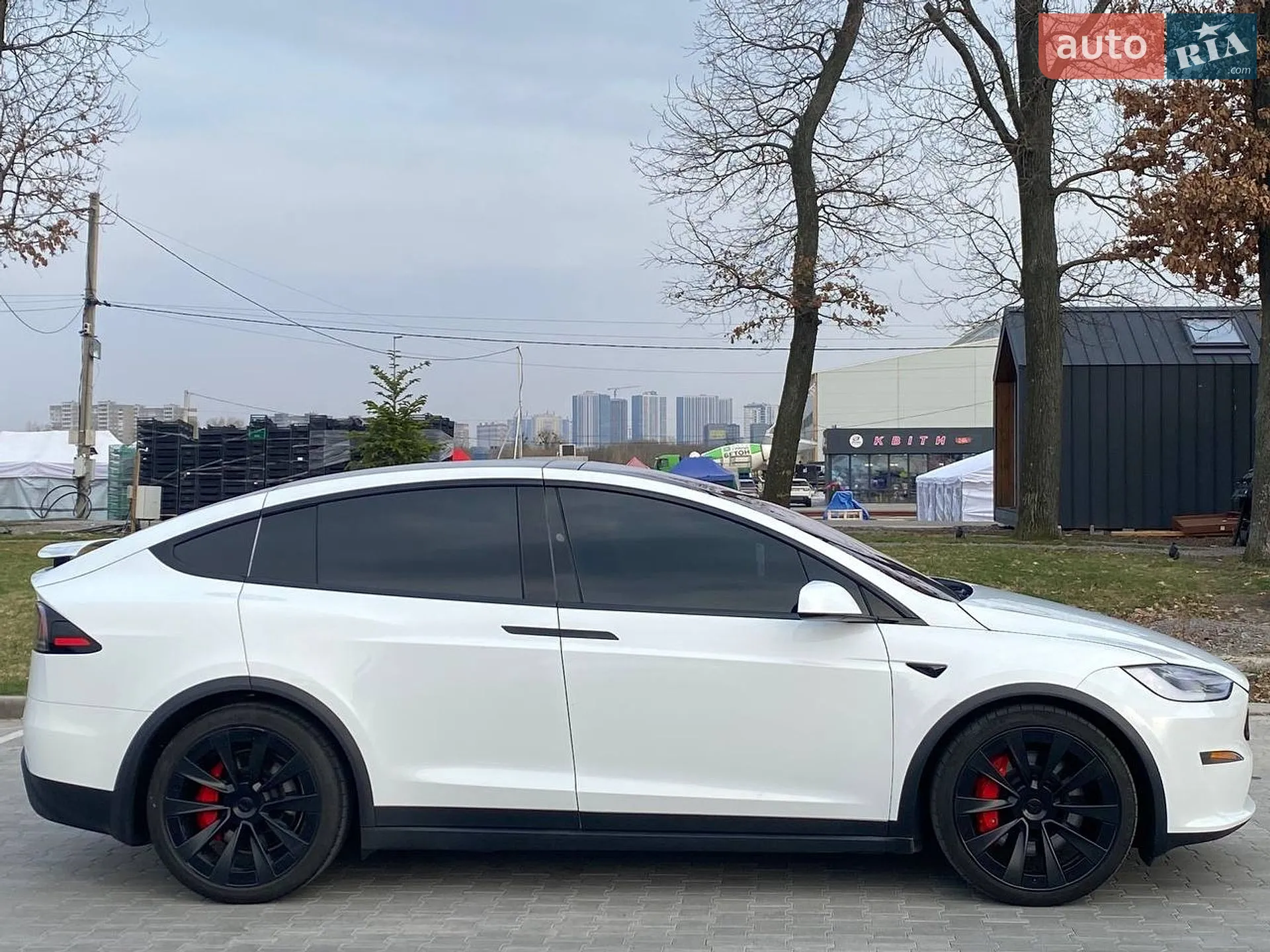 2023 Tesla Model X - мініатюра 6