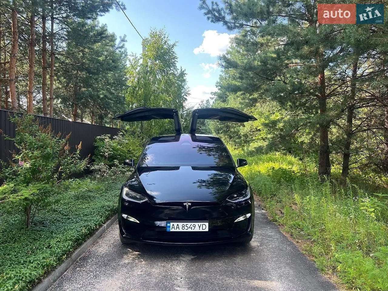 2023 Tesla Model X - мініатюра 9