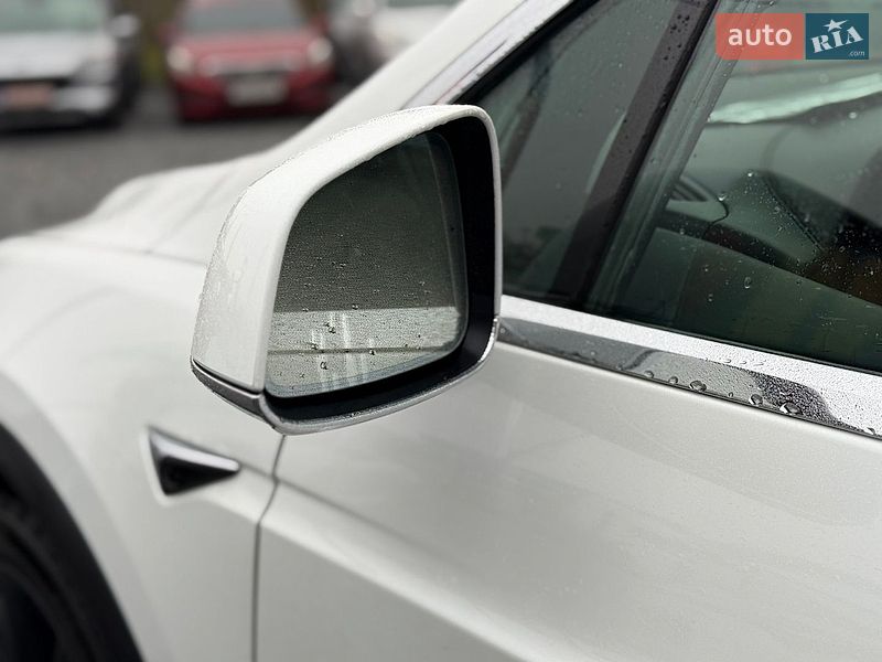 Позашляховик / Кросовер Tesla Model X 2019 в Стрию фото 10 Позашляховик / Кросовер Tesla Model X 2019 в Стрию