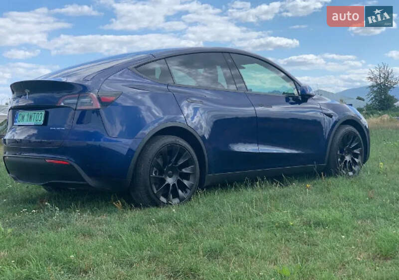 Внедорожник / Кроссовер Tesla Model Y 2021 в Житомире