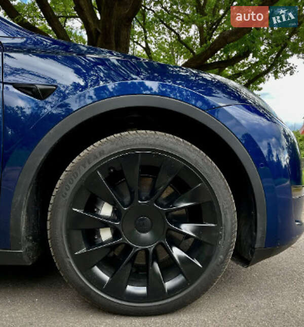 Внедорожник / Кроссовер Tesla Model Y 2021 в Житомире