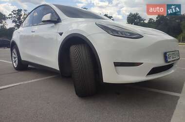 Внедорожник / Кроссовер Tesla Model Y 2020 в Запорожье