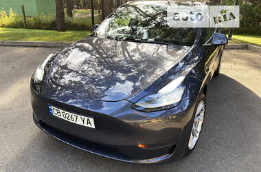 Внедорожник / Кроссовер Tesla Model Y 2020 в Херсоне