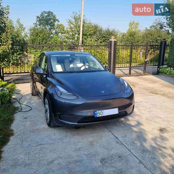 Внедорожник / Кроссовер Tesla Model Y 2020 в Тернополе