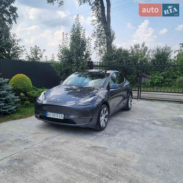 Внедорожник / Кроссовер Tesla Model Y 2020 в Тернополе