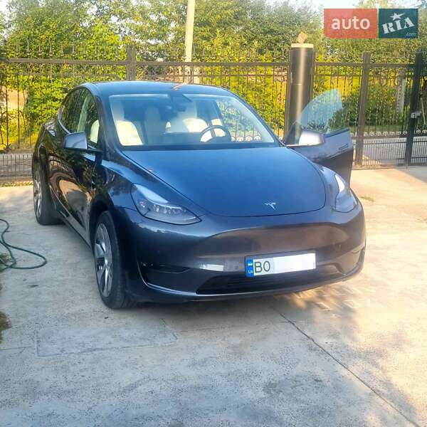 Внедорожник / Кроссовер Tesla Model Y 2020 в Тернополе