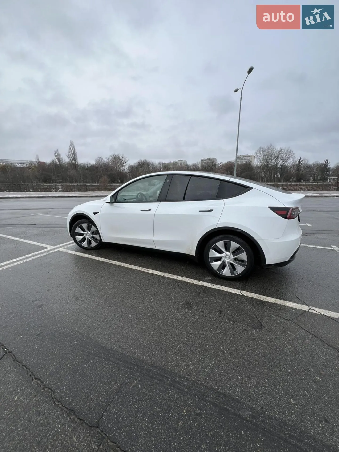 2021 Tesla Model Y - фото 1