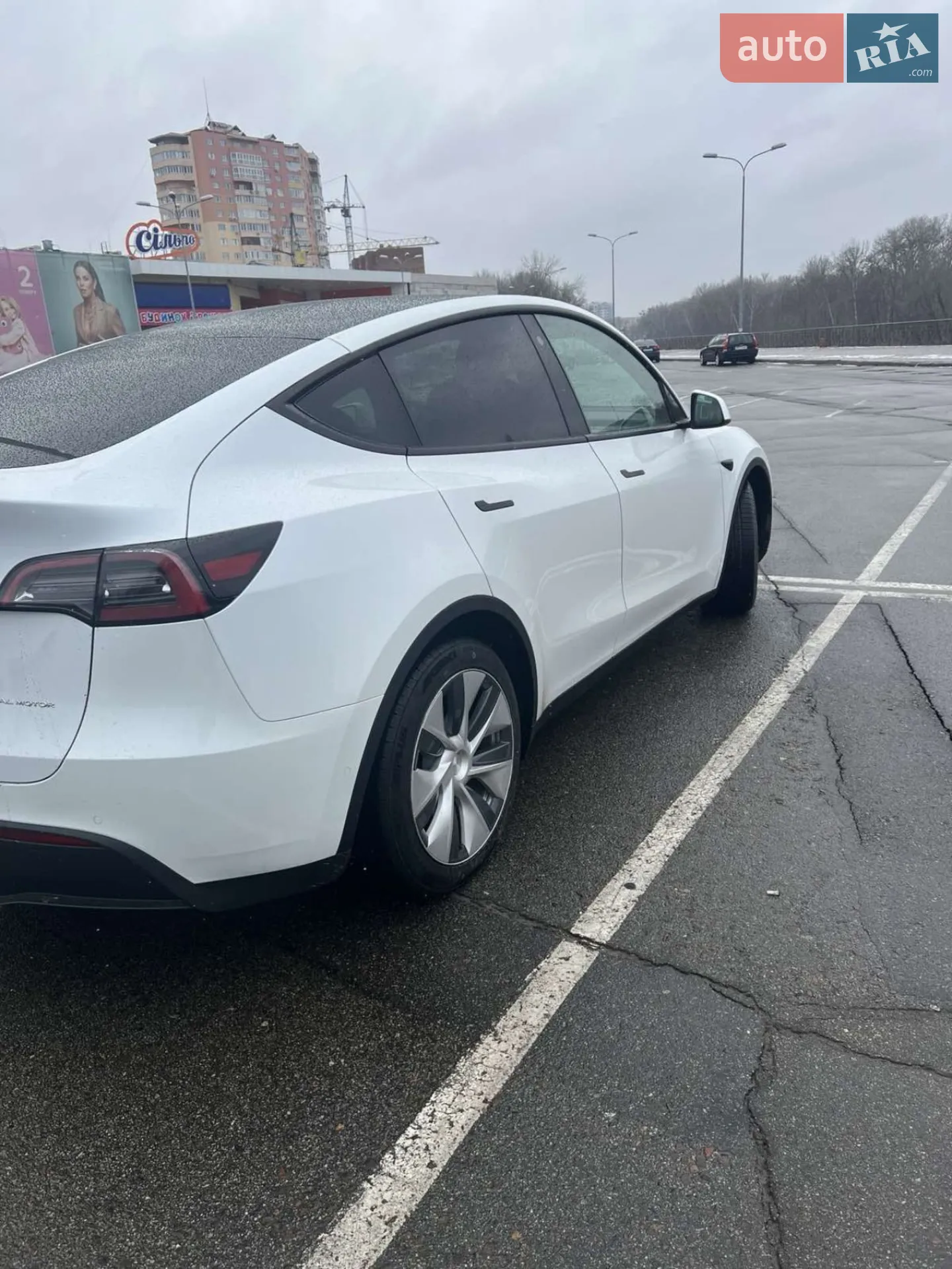 2021 Tesla Model Y - мініатюра 3