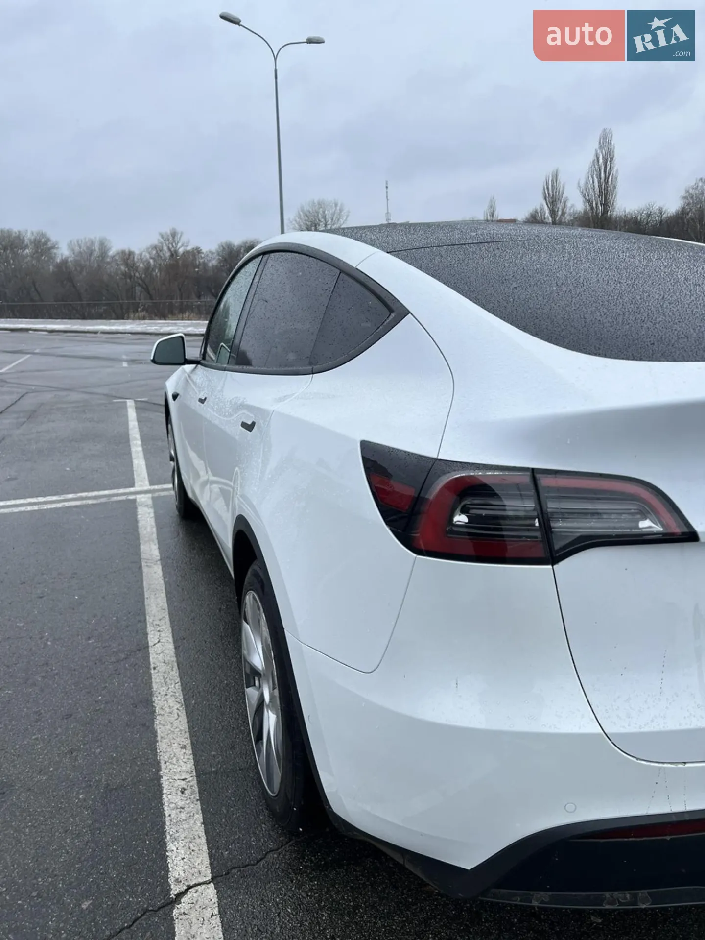 2021 Tesla Model Y - мініатюра 14