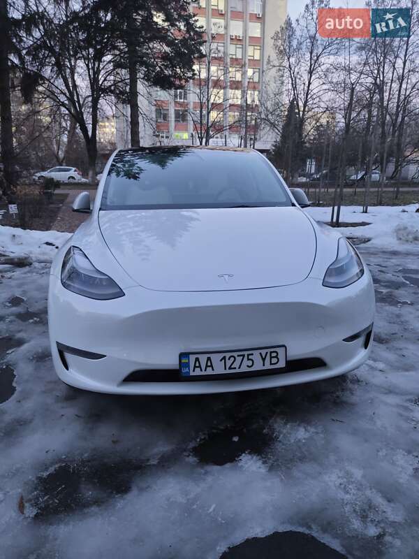 Внедорожник / Кроссовер Tesla Model Y 2022 в Чернигове