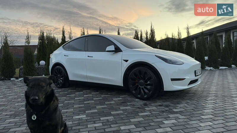 Позашляховик / Кросовер Tesla Model Y 2022 в Києві