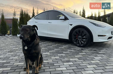 Внедорожник / Кроссовер Tesla Model Y 2022 в Киеве